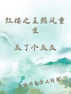 紅樓之王熙鳳重生